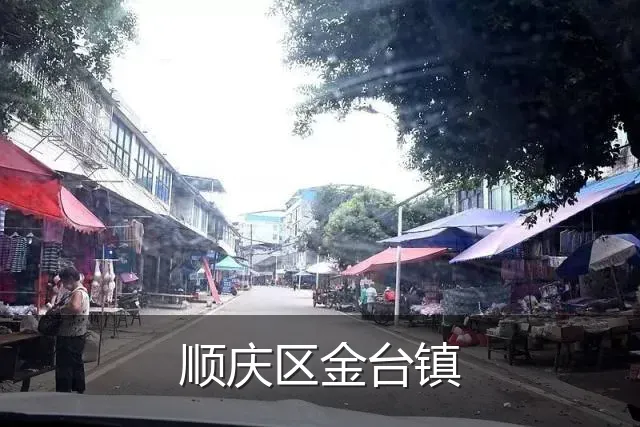 顺庆区金台镇